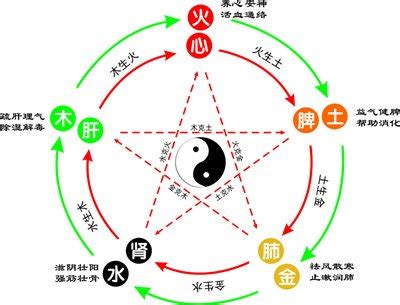 書 五行屬性|书字的五行属性是什么